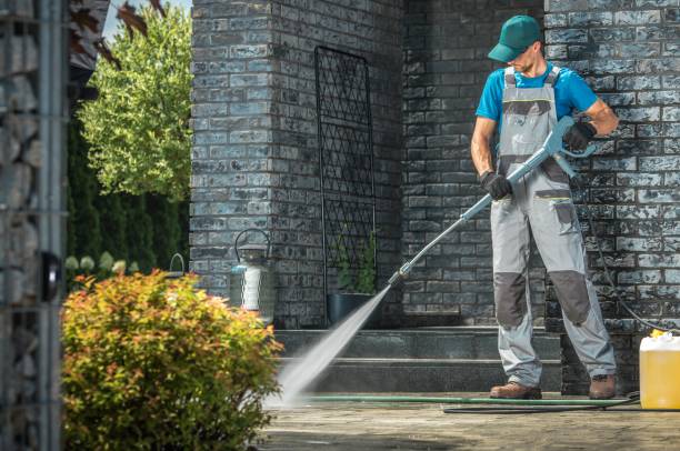 Best Roof Washing  in Ceredo, WV