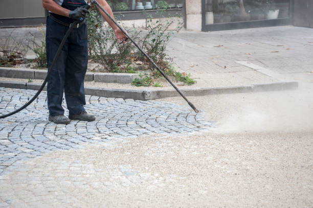 Best Sidewalk and Walkway Cleaning  in Ceredo, WV